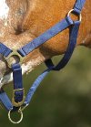 Pony, Navy