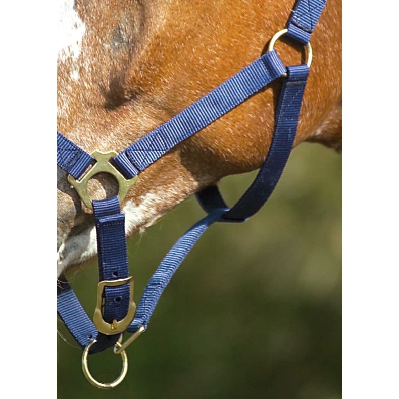 NORTON Nylon Grime flere farver Pony Navy
