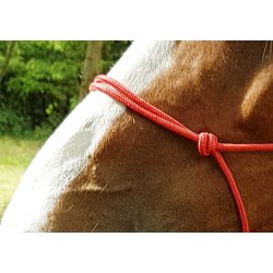 RIDING WORLD Rebgrime Fine str full