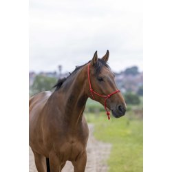 RIDING WORLD Rebgrime Fine str full