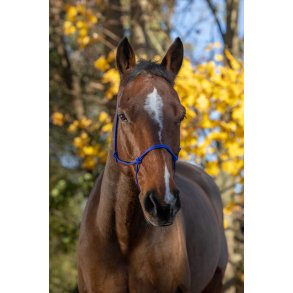 RIDING WORLD Rebgrime Fine str full