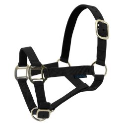 NORTON Grime nylon l�derforet