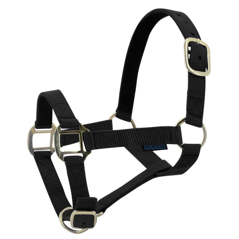 NORTON Grime nylon l�derforet Pony Sort