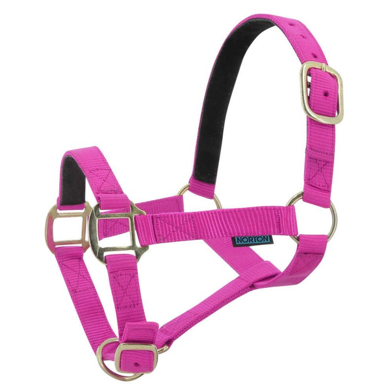 NORTON Grime nylon l�derforet Shetland Fuchsia