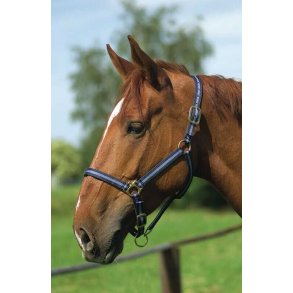 NORTON Grime nylon l�derforet