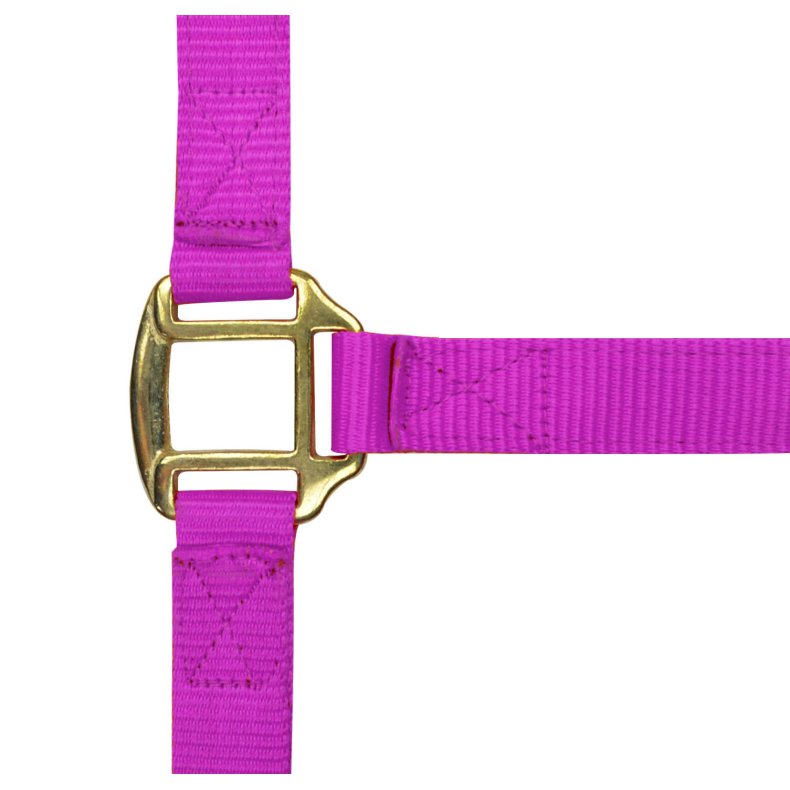 NORTON Grime nylon l�derforet Pony Fuchsia