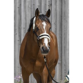 RIDING WORLD Grime med syntetisk lam