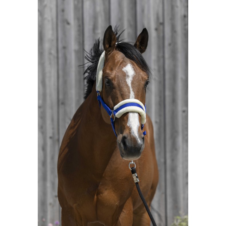 RIDING WORLD Grime med syntetisk lam Pony Royalbl�