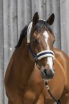 Shetland, Navy