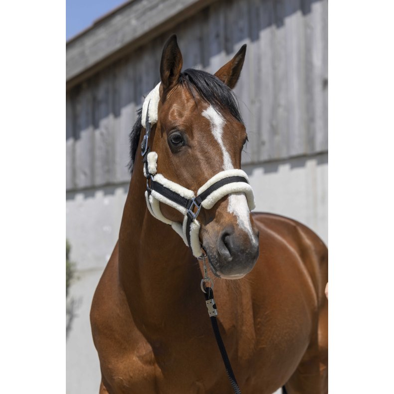 NORTON Grime COSY flere farver Shetland Sort