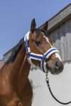 Shetland, Royalbl�