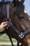 Shetland, Navy