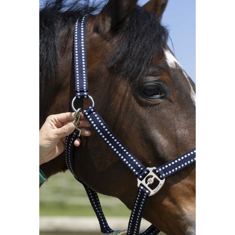NORTON Grooming grime - flere farver Pony Navy