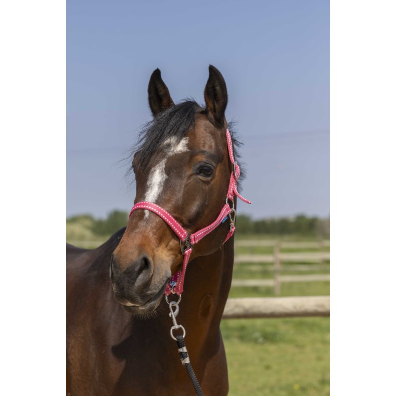 NORTON Grooming grime - flere farver Pony Pink