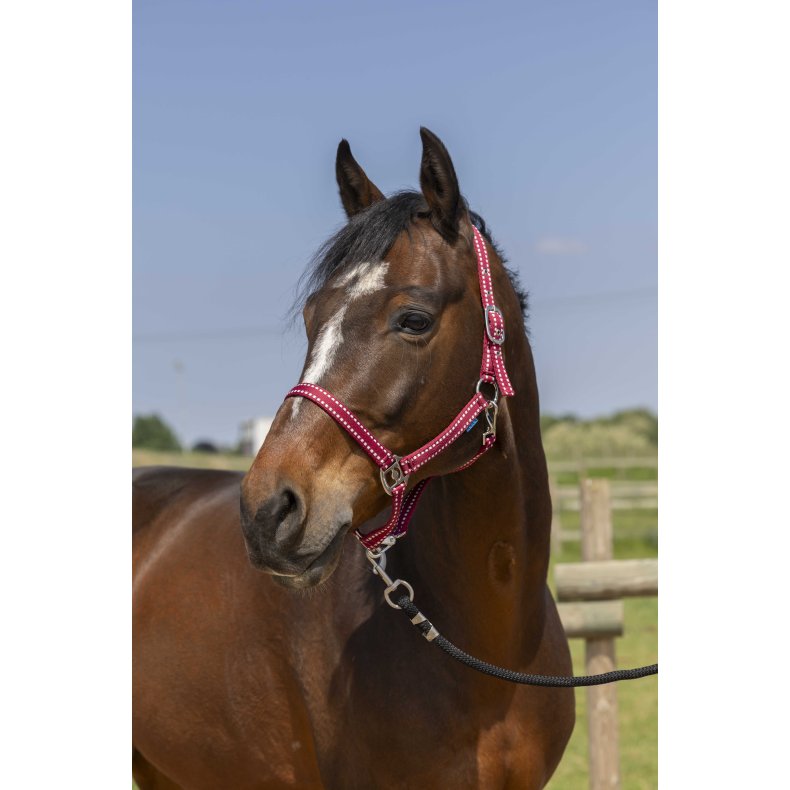 NORTON Grooming grime - flere farver Pony Bordeaux