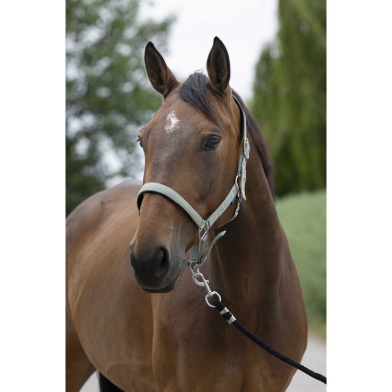 NORTON Satine Grime Cob Oliven