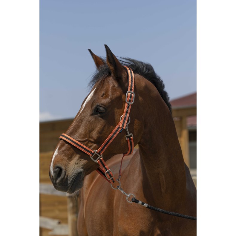 NORTON Satine Grime Shetland Koral/sort
