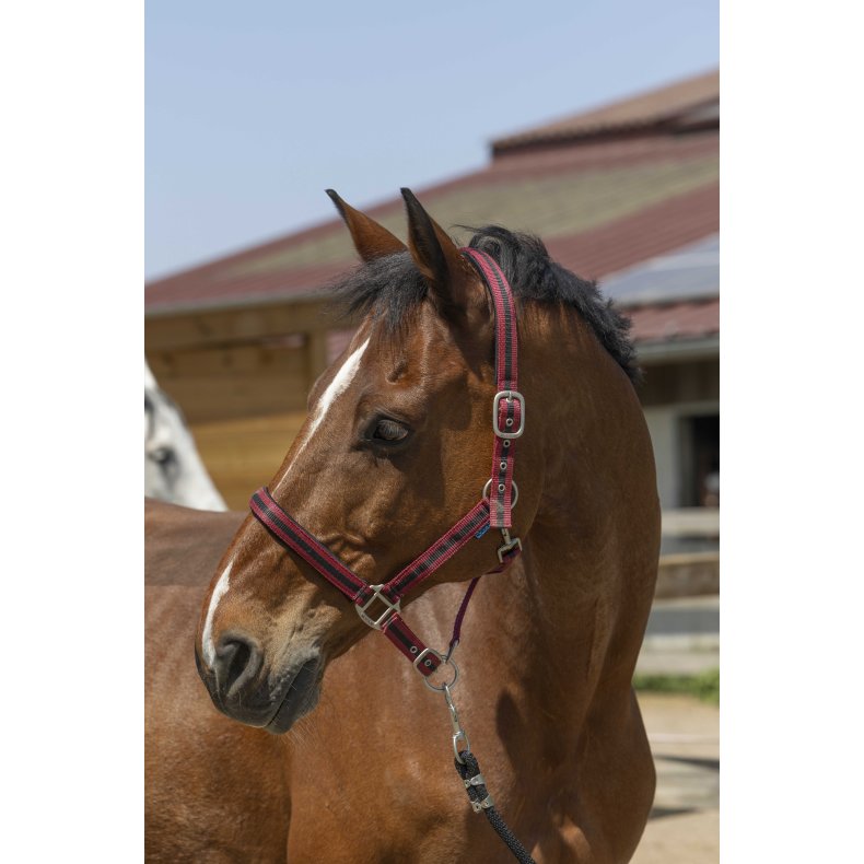 NORTON Satine Grime Shetland Bordeaux/sort