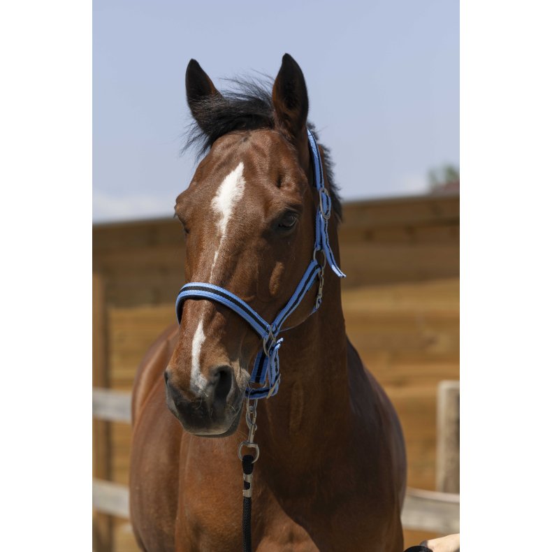 NORTON Satine Grime Shetland Lysebl�/sort