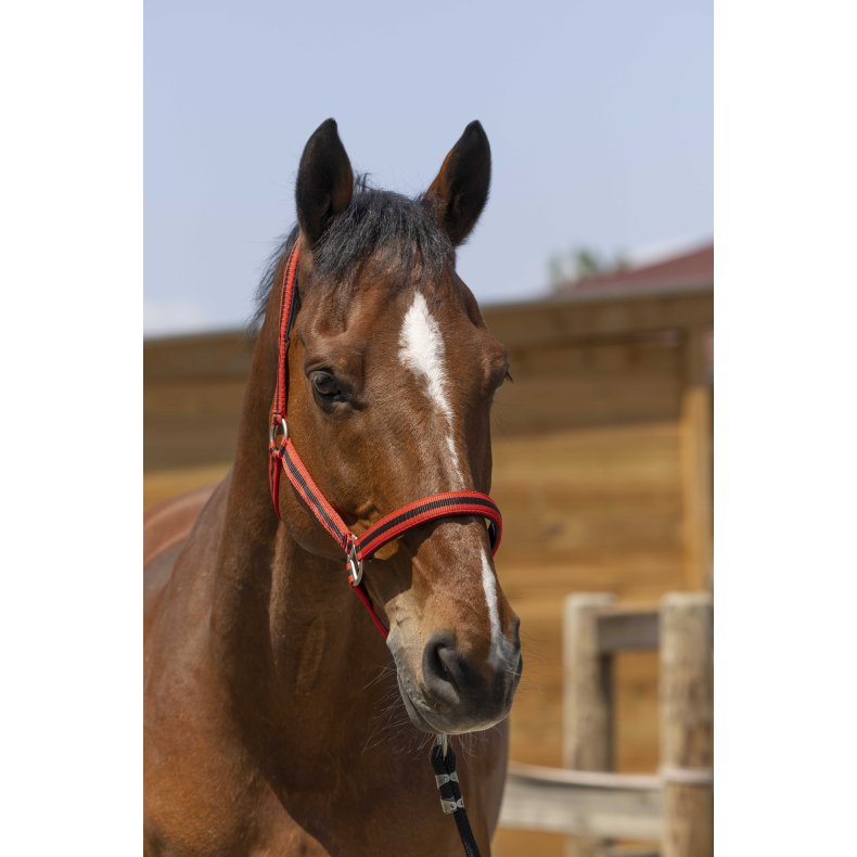 NORTON Satine Grime Cob R�d/sort