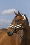 Pony, Royalbl�/sort