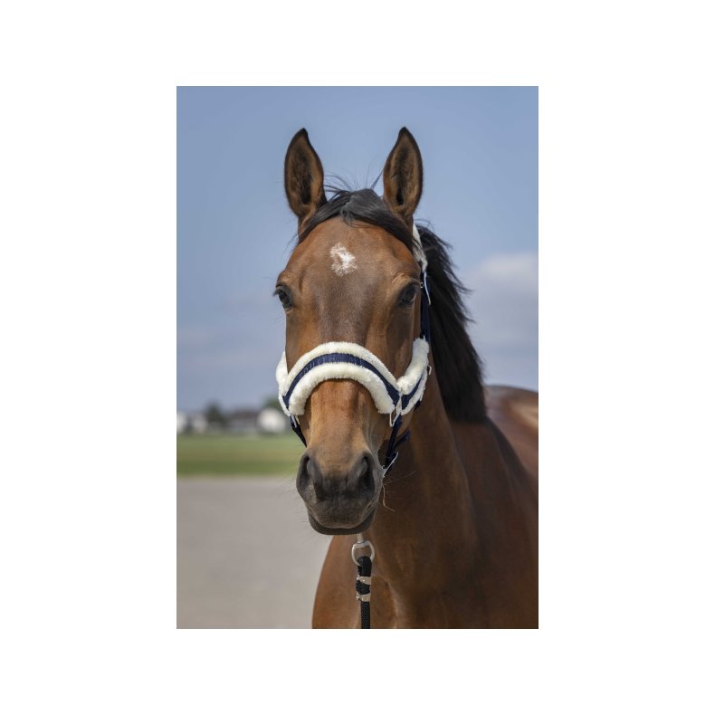 EQUITHEME Grime MOUTON flere farver  Shetland Navy/hvid