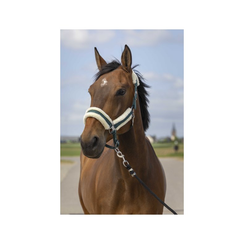 EQUITHEME Grime MOUTON flere farver  Cob Gr�n/hvid