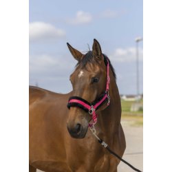 EQUITHEME Grime MOUTON flere farver 