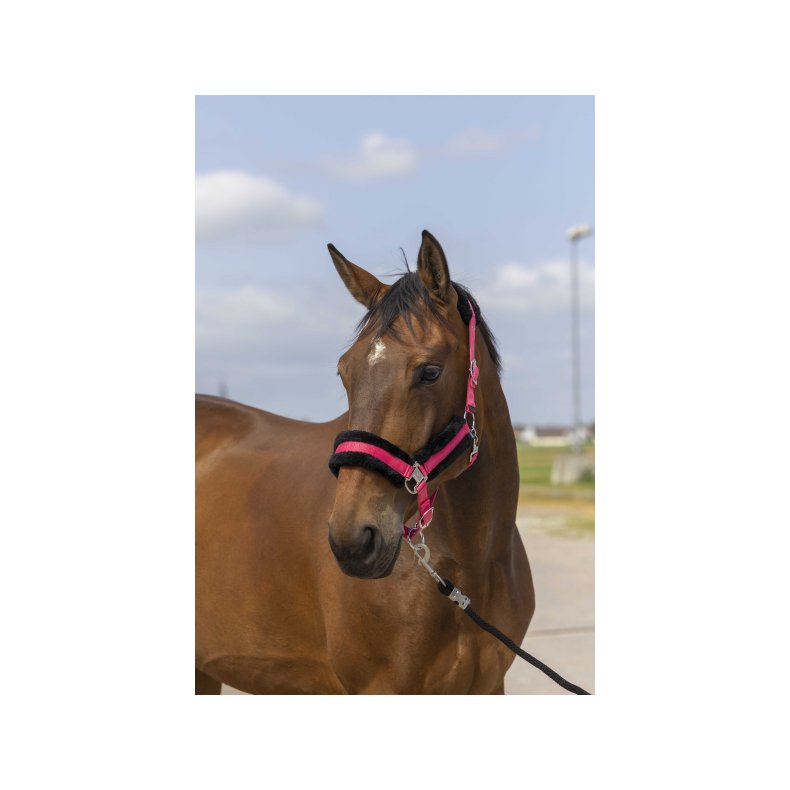 EQUITHEME Grime MOUTON flere farver  Shetland Pink/sort
