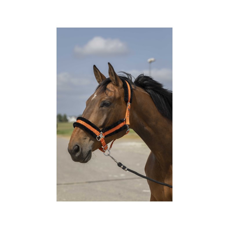 EQUITHEME Grime MOUTON flere farver  Cob Orange/sort