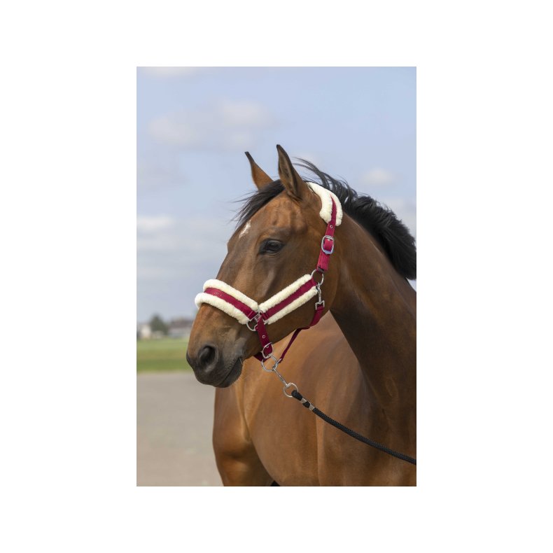 EQUITHEME Grime MOUTON flere farver  Shetland Bordeaux/hvid