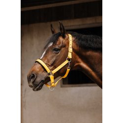 EQUITHEME Grime Jacquard flere farver