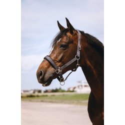 EQUITHEME Grime Jacquard flere farver