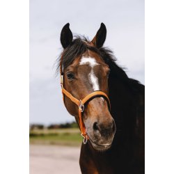 EQUITHEME Grime Jacquard flere farver