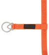 Pony, Orange