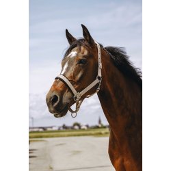 EQUITHEME Grime Jacquard flere farver
