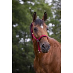 NORTON Nylon-grime med neopren-foring