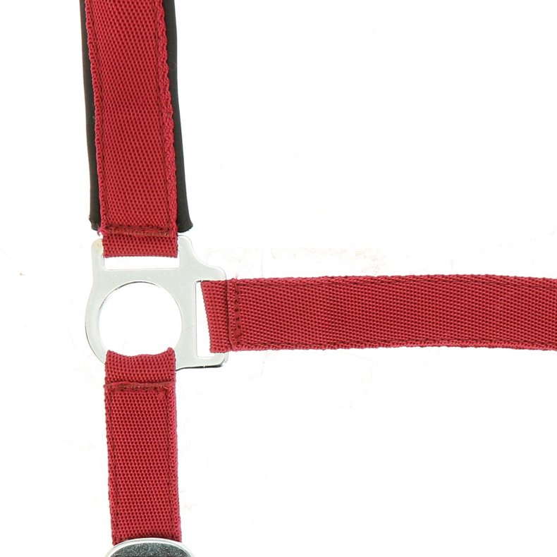 NORTON Nylon-grime med neopren-foring Shetland R&oslash;d