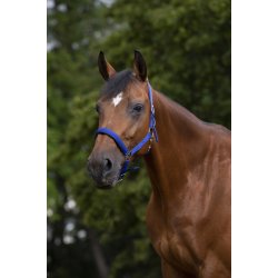 NORTON Nylon-grime med neopren-foring