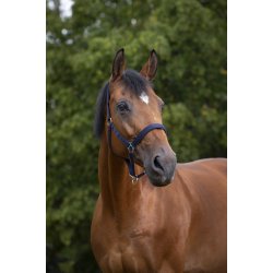 NORTON Nylon-grime med neopren-foring