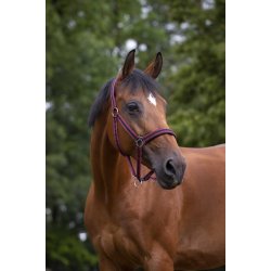 NORTON Nylon-grime med neopren-foring