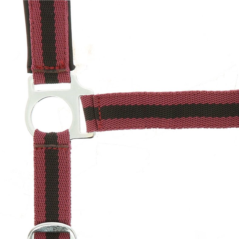 NORTON Nylon-grime med neopren-foring Pony Bordeaux/sort