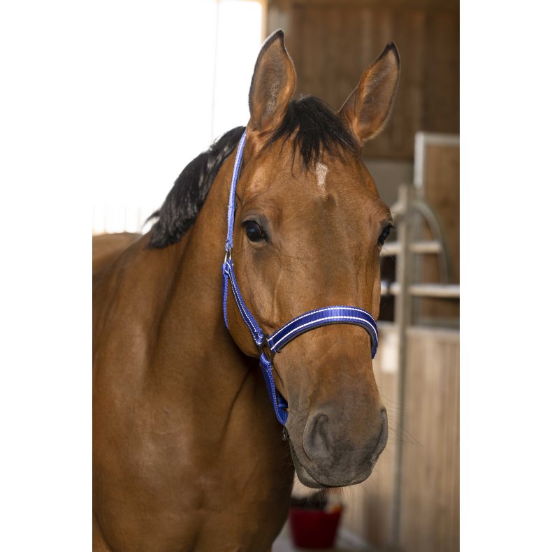 NORTON Refleks grime - flere farver Cob Bl�