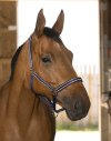 Pony, Navy