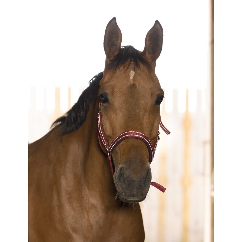 NORTON Refleks grime - flere farver Pony Bordeaux