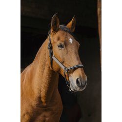 EQUITHEME Grime Domino full