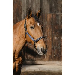 EQUITHEME Grime Domino full