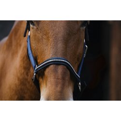 EQUITHEME Grime Domino full