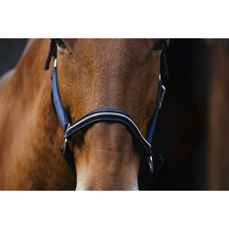 EQUITHEME Grime Domino full Royalbl�
