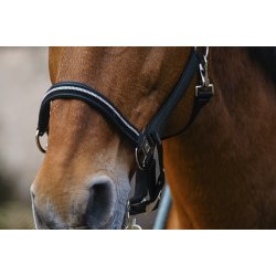 EQUITHEME Grime Domino full